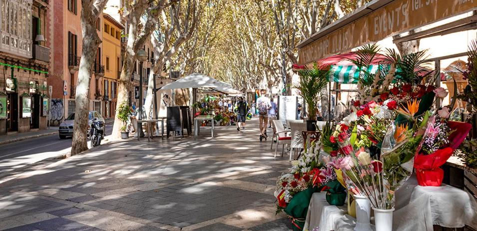 Rambla Palma Center Hotel Luaran gambar