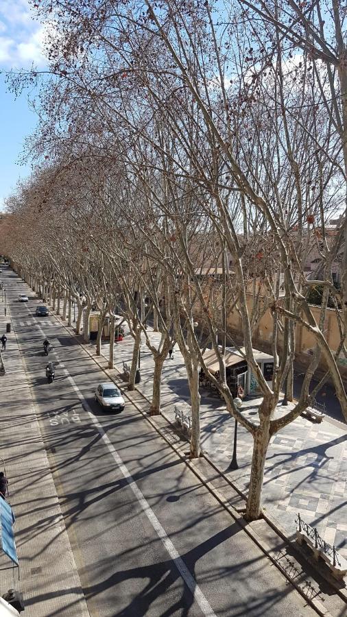 Rambla Palma Center Hotel Luaran gambar